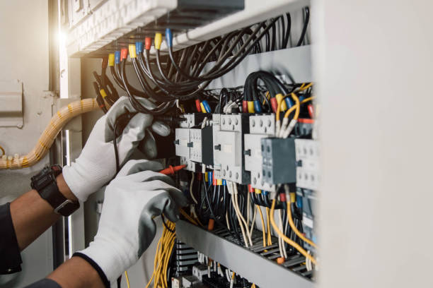 Best Electric Panel Repair  in Liberty City, TX